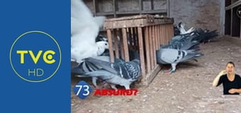 77 TV S2E6 - Teorie spiskowe 77 TV S2E6 - Teorie spiskowe