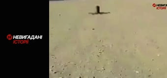 Невигадані історії. Війна. Початок.