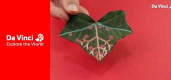 Мастерские проделки - Искусство и листья Мастерские проделки - Искусство и листья