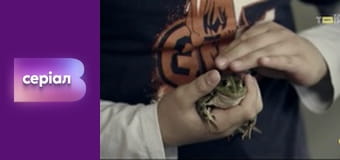 "Реальна містика", 2 сезон, 71 еп. "Вій".