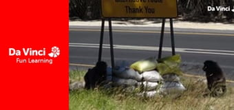 Siyaya - Wildest Cape - Hottentots Holland Nature Reserve - On Angel's Wings Siyaya - Wildest Cape - Hottentots Holland Nature Reserve - On Angel's Wings