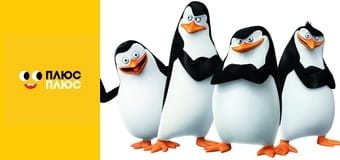 Пінгвіни Мадагаскару