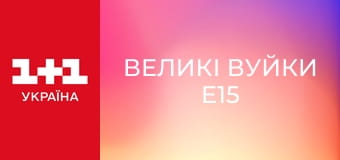 Великі Вуйки E15