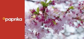 Japonské chutě s Justine S1E8 Japonské chutě s Justine S1E8