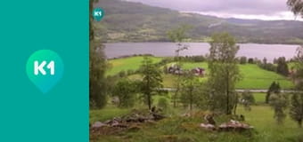 "Орел і Решка. Дайджест".