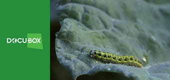 H2O - Wodne Historie S1E1 - Błękitna Planeta H2O - Wodne Historie S1E1 - Błękitna Planeta