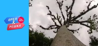 100 долларов, Выпуск 80