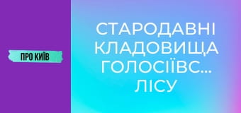 Стародавні кладовища Голосіївського лісу під загрозою забудови. Китаївська пустинь зникне.