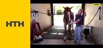 "Таємниці світу".