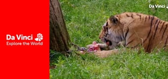 А ты знаешь? - Медди, зоопарк и вы - Почему мы едим? А ты знаешь? - Медди, зоопарк и вы - Почему мы едим?