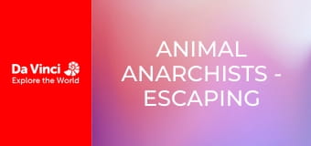 Animal Anarchists - Escaping the Wasp