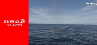 Всезнайко - Чи можемо ми вижити без планктону?