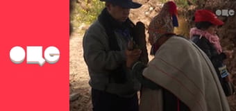 Особливості національної роботи, 4 сезон, 47 еп.