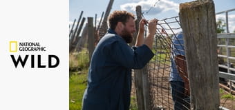 Невероятный доктор Пол S19E3 - А вот и морская свинка