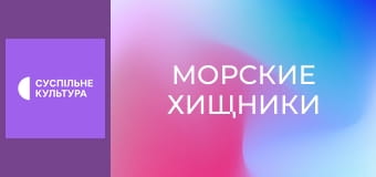 Д/с "Морские хищники". "Бычья акула".