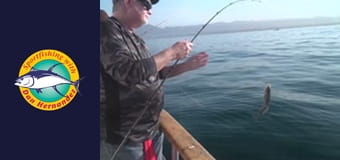 Clemente, part 1 Clemente, part 1