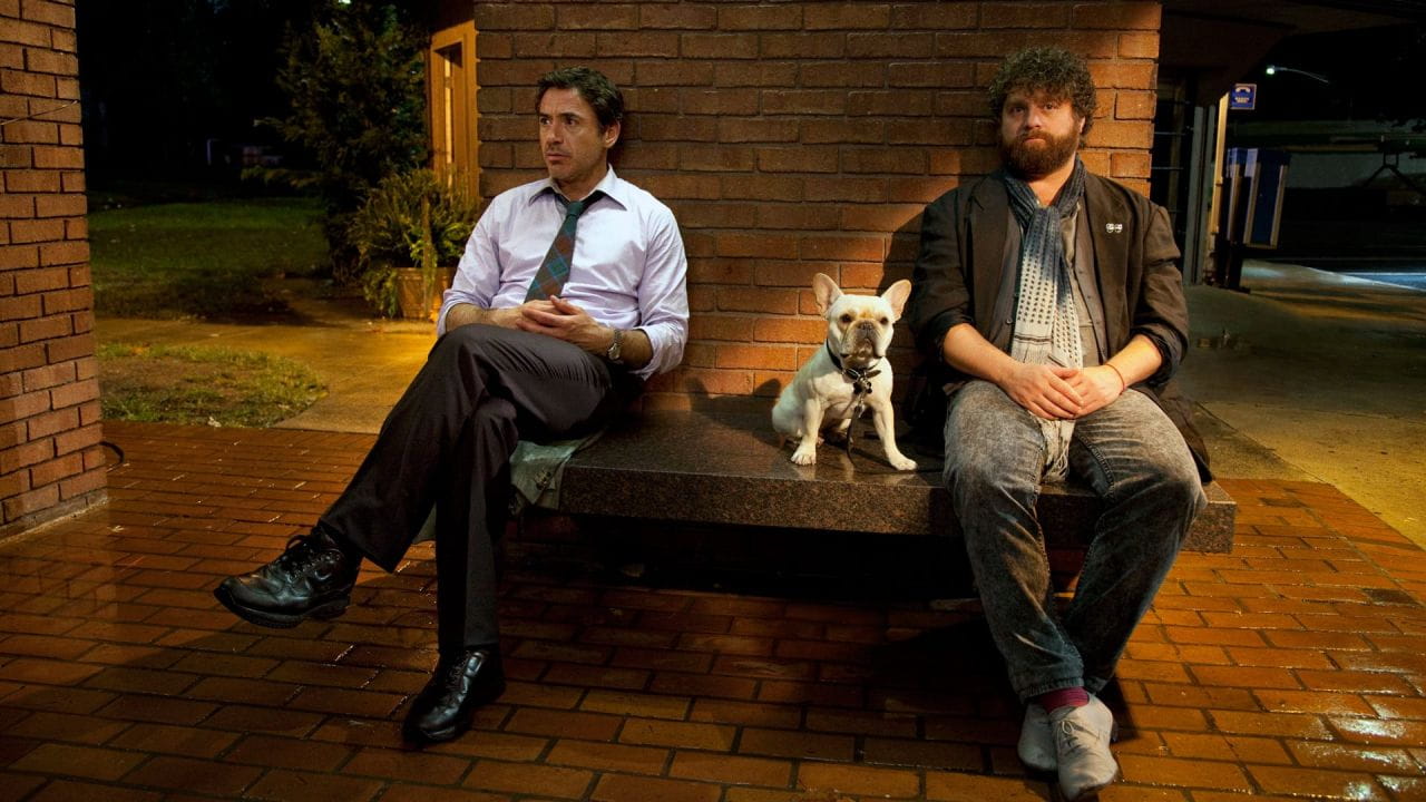 Due Date - SWEET.TV Due Date watch online