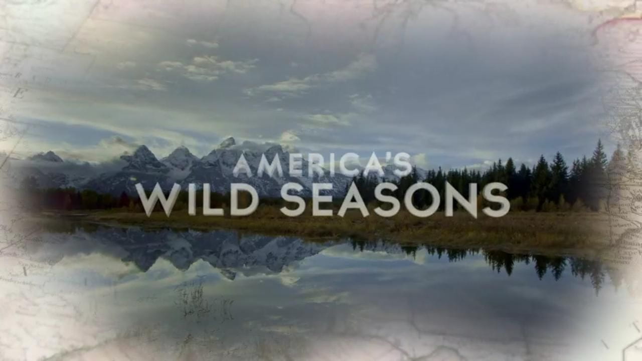 America's Wild Seasons (2019)