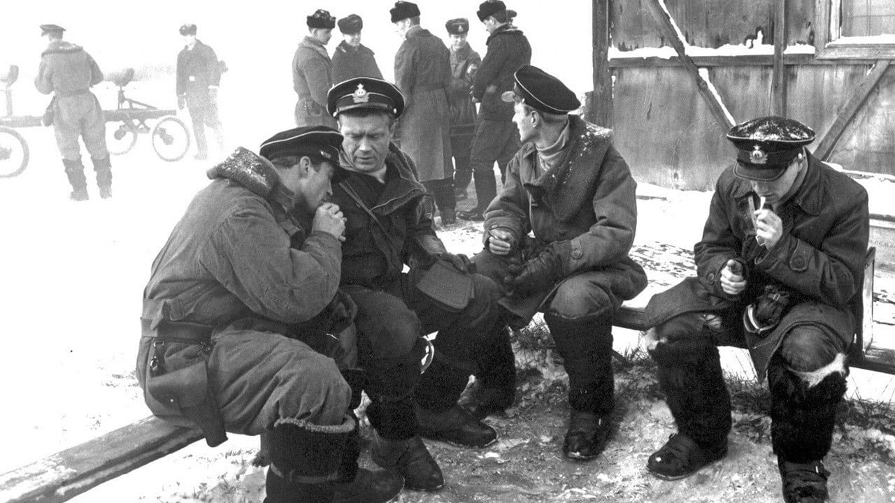 Torpedo Bombers - SWEET.TV Torpedo Bombers watch online