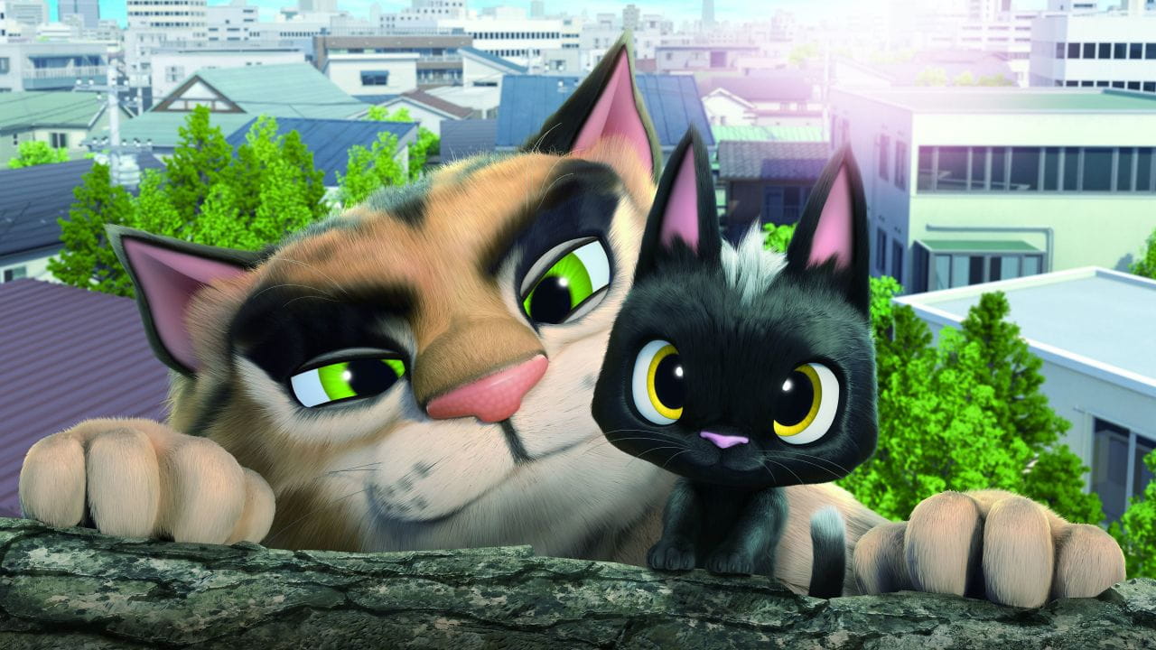 Rudolf the Black Cat - SWEET.TV Rudolf the Black Cat watch online