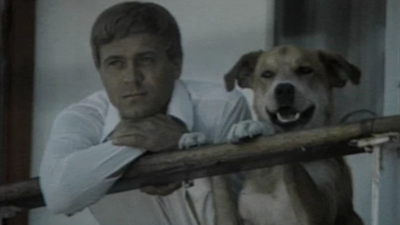 Salty Dog - SWEET.TV Salty Dog watch online