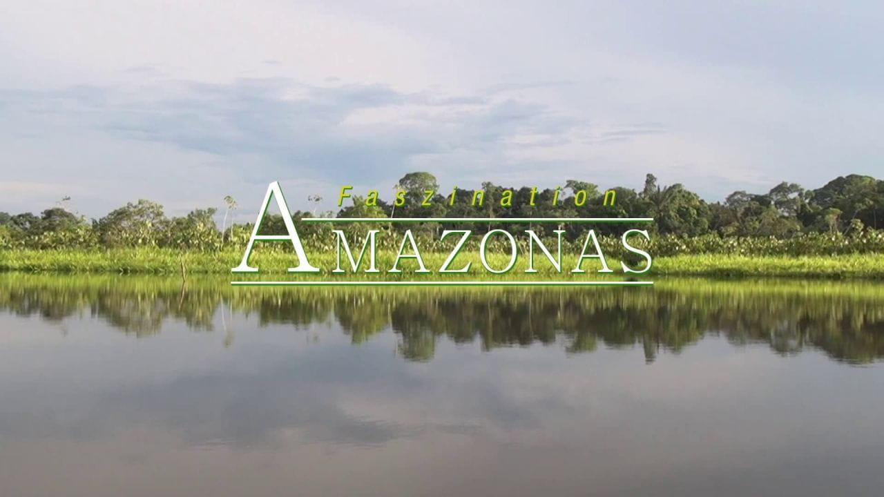 Амазонка 3D