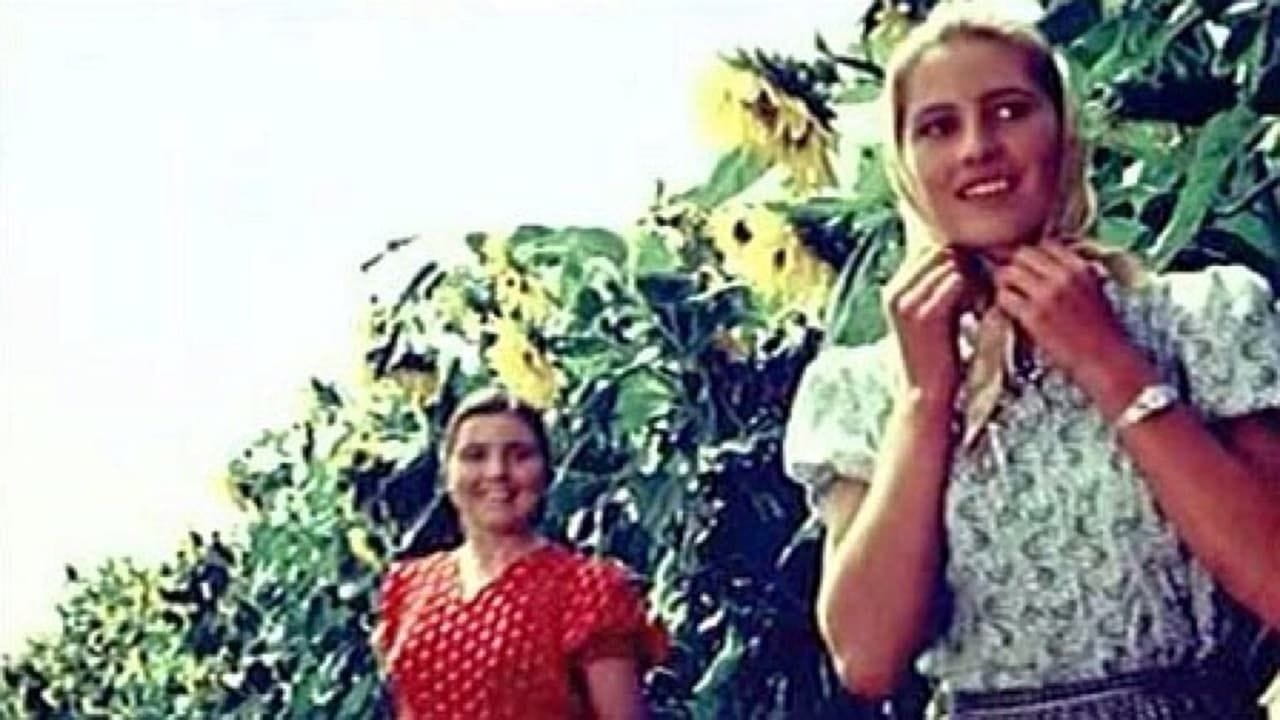 Первый парень - SWEET.TV Первый парень смотреть онлайн