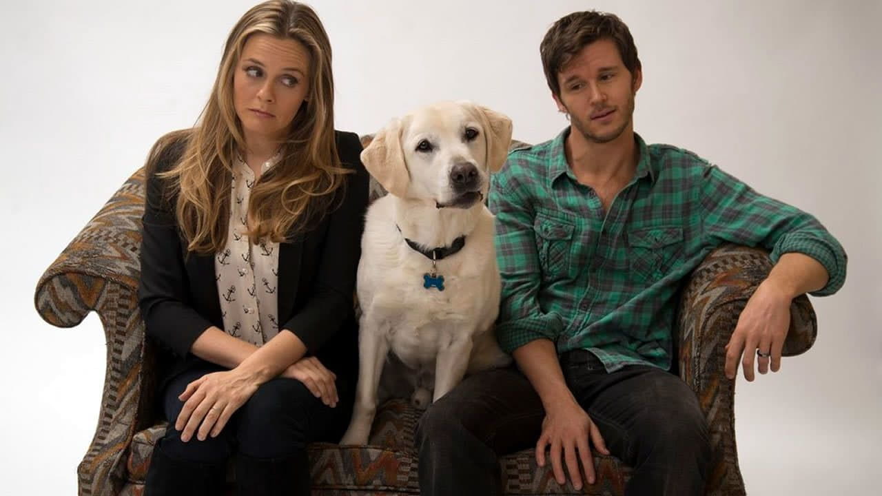 Who Gets the Dog? - SWEET.TV Who Gets the Dog? watch online