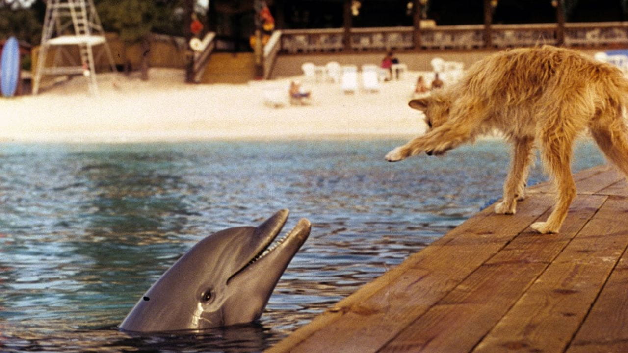 Зевс и Роксана (1997) смотреть онлайн в хорошем качестве