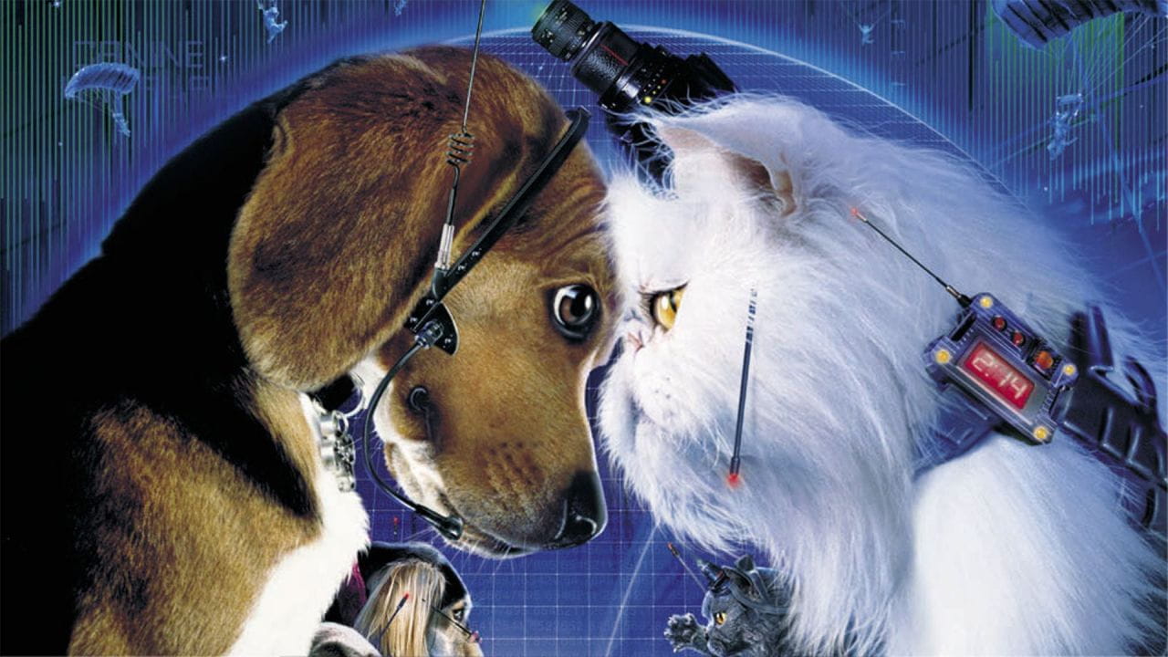Cats & Dogs - SWEET.TV Cats & Dogs watch online
