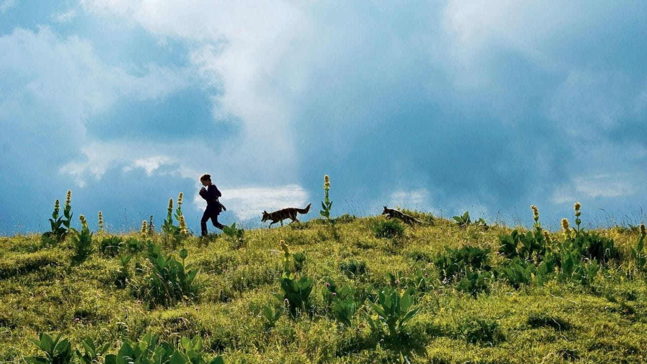 The Fox and the Child - SWEET.TV The Fox and the Child watch online