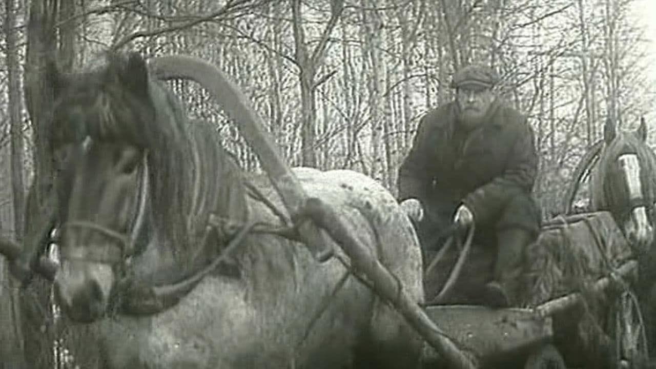 Braslet-2 - SWEET.TV Braslet-2 watch online
