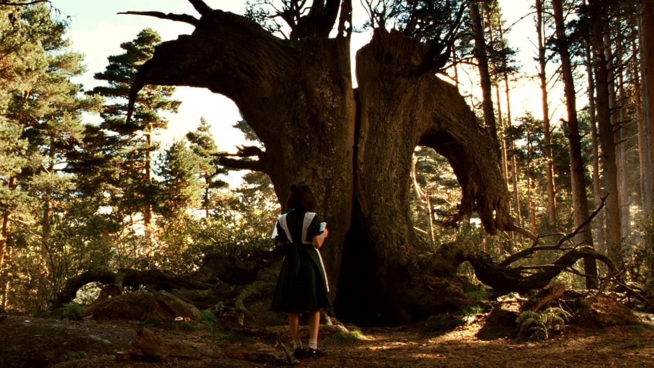 Pan's Labyrinth - SWEET.TV Pan's Labyrinth watch online