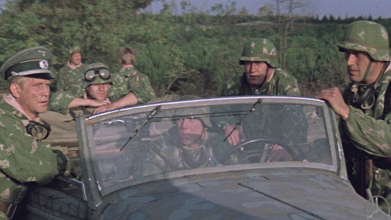 Mercedes Runs Away from the Chase - SWEET.TV Mercedes Runs Away from the Chase watch online