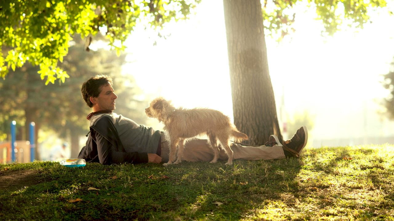 Seeking a Friend for the End of the World - SWEET.TV Seeking a Friend for the End of the World watch online
