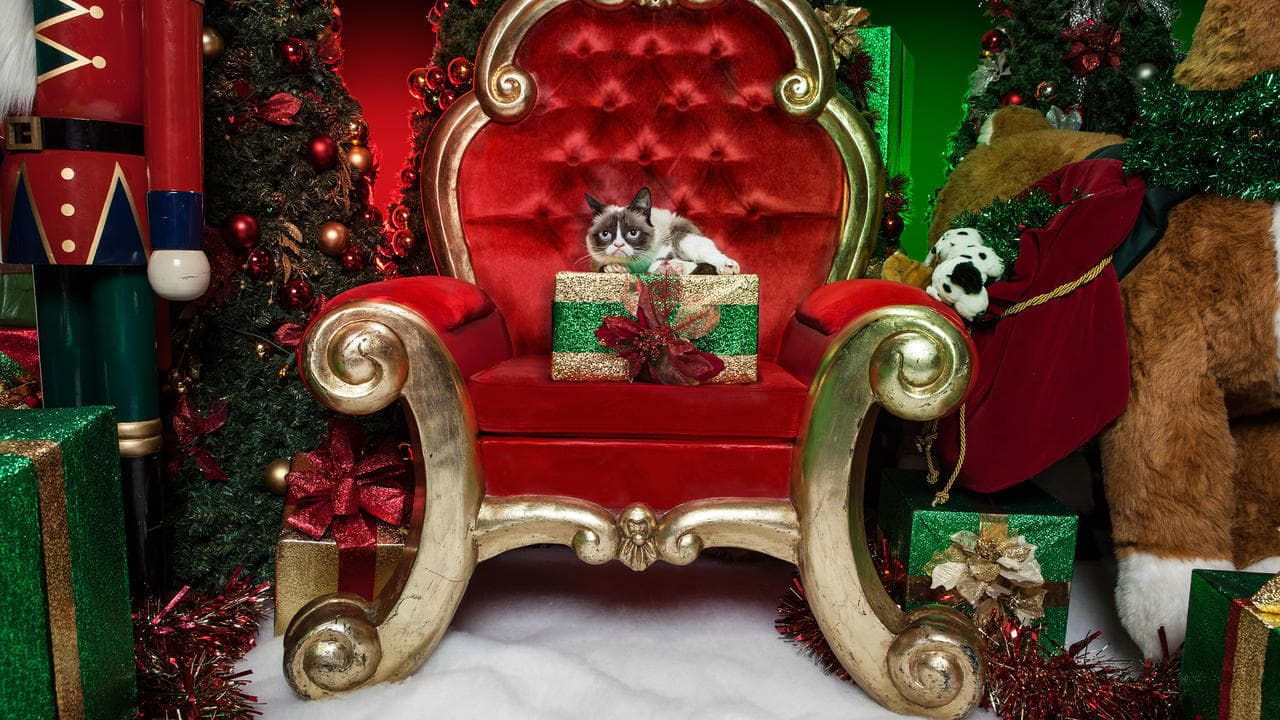 Grumpy Cat's Worst Christmas Ever - SWEET.TV Grumpy Cat's Worst Christmas Ever watch online