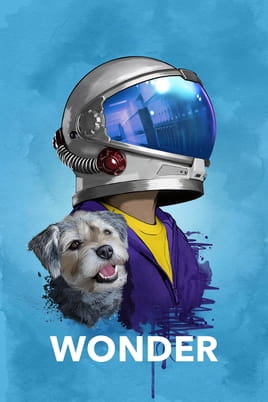 Wonder - SWEET.TV Watch Wonder online