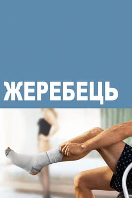 Жеребец - SWEET.TV Смотреть Жеребец онлайн