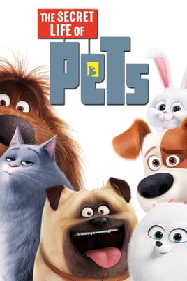 The Secret Life of Pets - SWEET.TV Watch The Secret Life of Pets online
