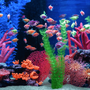 Дивитися Aquarium 4K онлайн