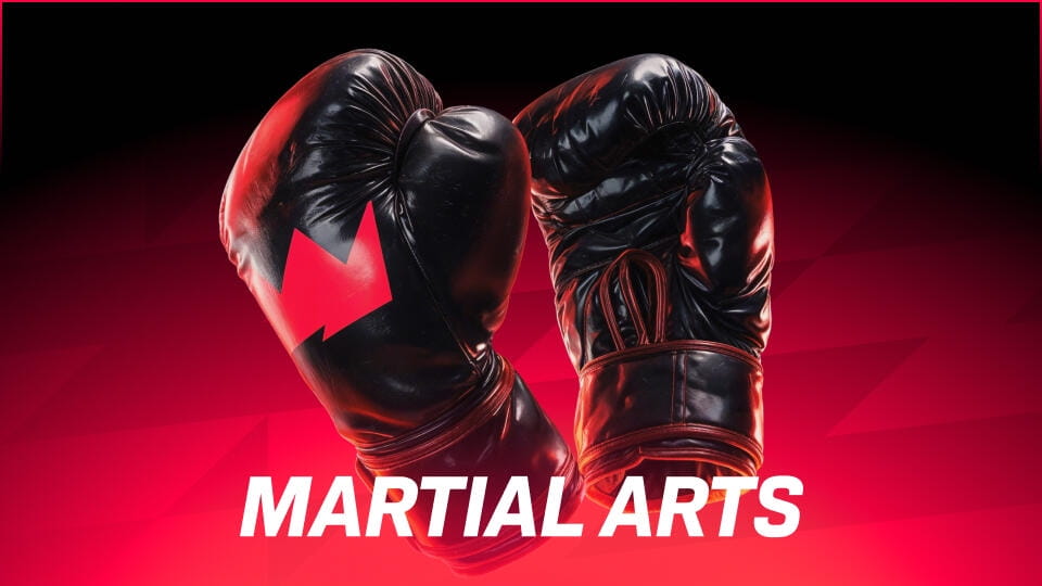 Martial Arts