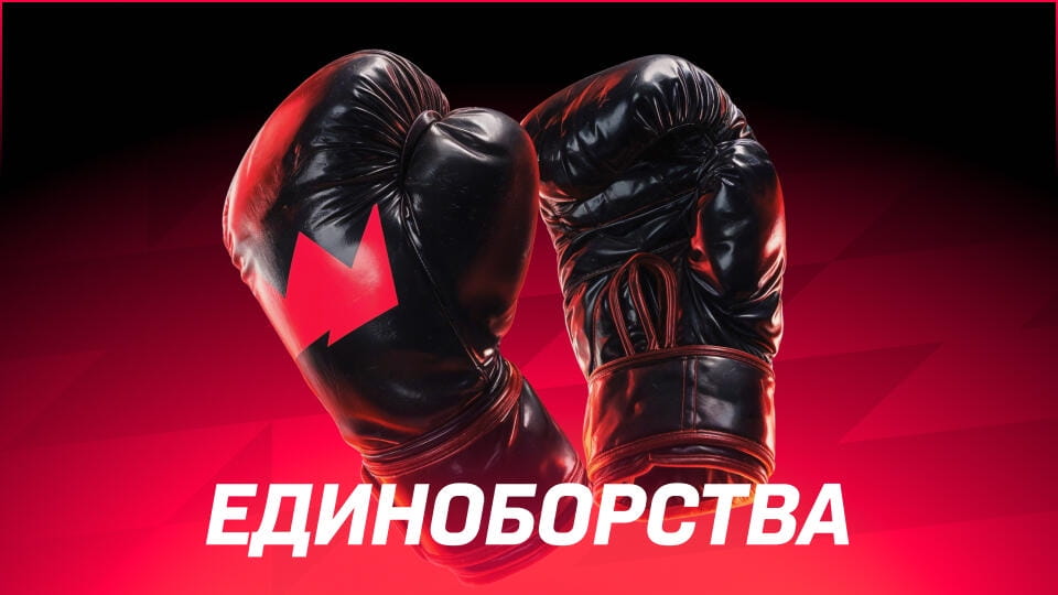 Единоборства