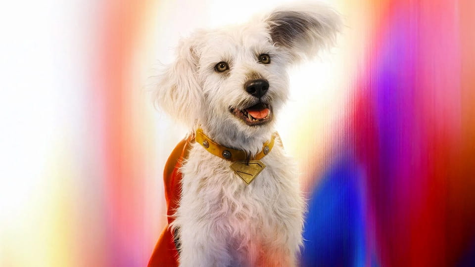 Regardez Superman en ligne