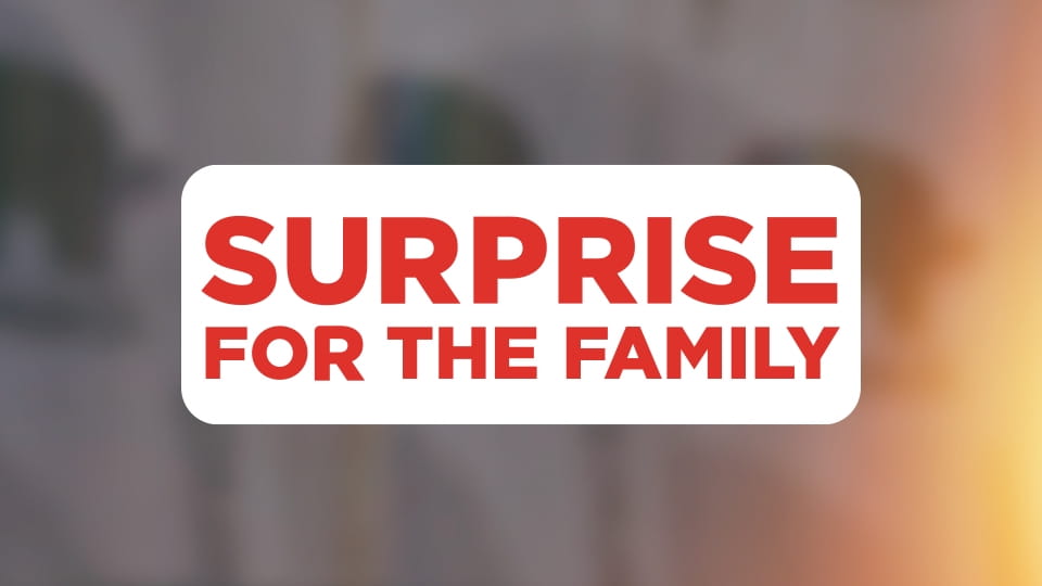 Παρακολούθησε Surprise for the family online