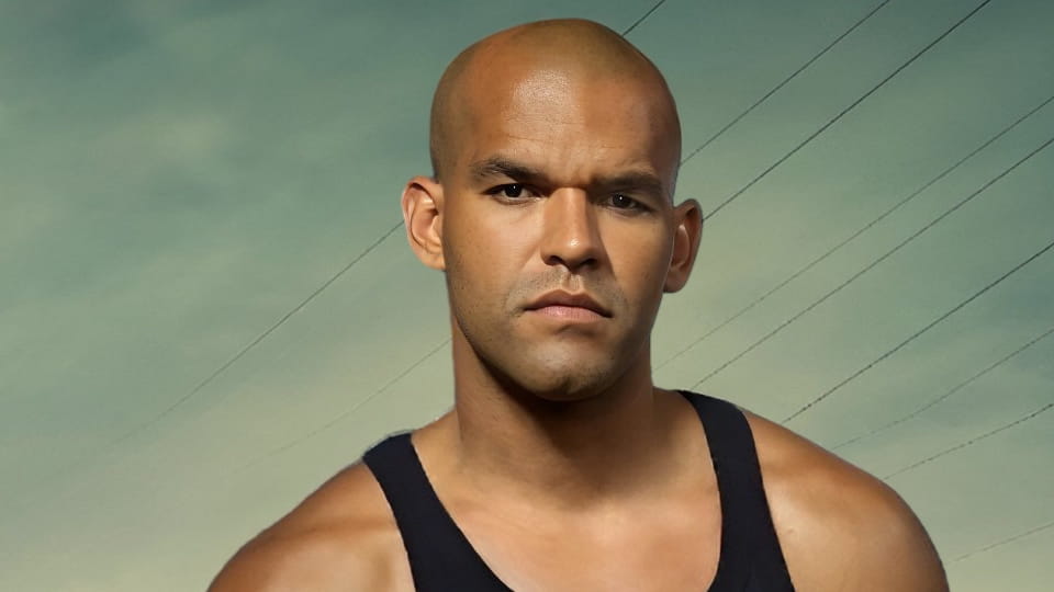 Παρακολούθησε Prison Break online