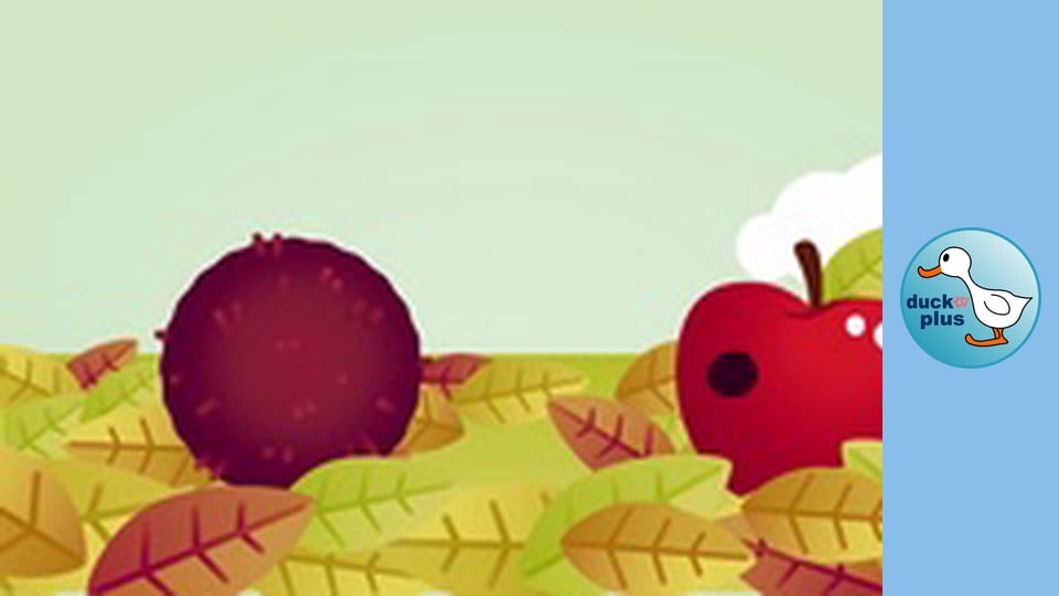 Home Sweet Home - Hedgehog