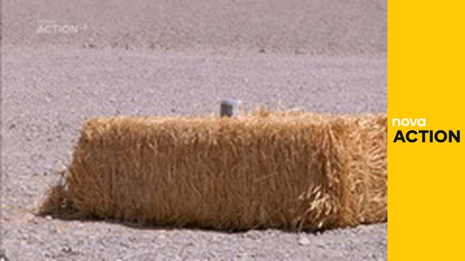 Mistři zastavárny S10E6