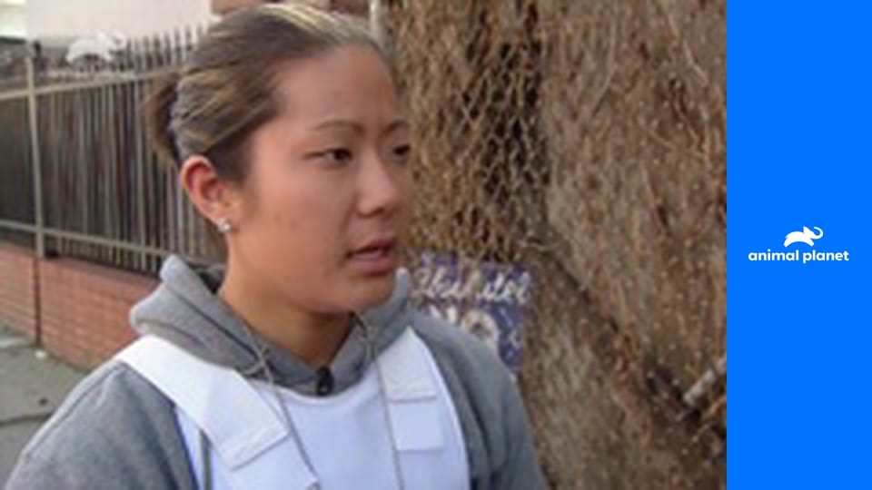 Veterinární policie: Filadelfie S12E19 - Štvanice