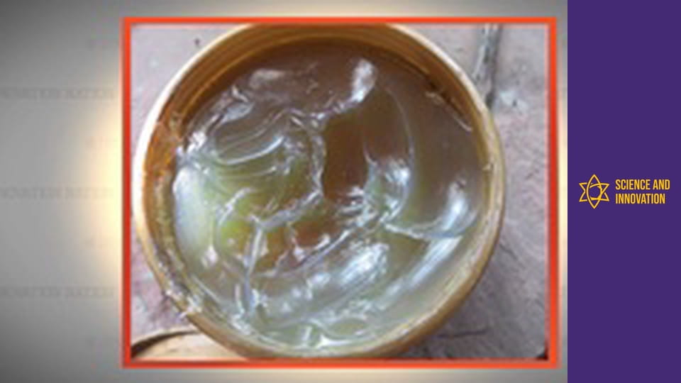 Science and Innovation Sezon 1 Episod 17