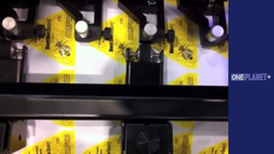 Интересно, Сезон 1, Выпуск 5